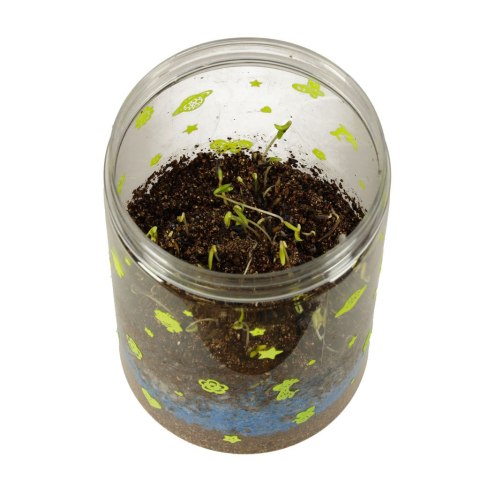 Hodowla dinozaurów terrarium projektor z lampką nocną LED Kik Sp. z o. o. Sp. k. Hodowla dinozaurów terrarium projektor z lampką nocną LED Kik Sp. z o. o. Sp. k.