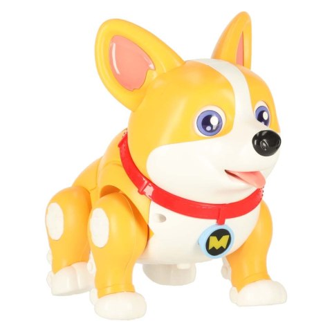 Pies piesek interaktywny robot Corgi świecące uszy muzyka Kik Sp. z o. o. Sp. k. Pies piesek interaktywny robot Corgi świecące uszy muzyka Kik Sp. z o. o. Sp. k.