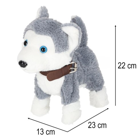 Piesek interaktywny na smyczy szczeka chodzi rusza ogonem Husky Kik Sp. z o. o. Sp. k.